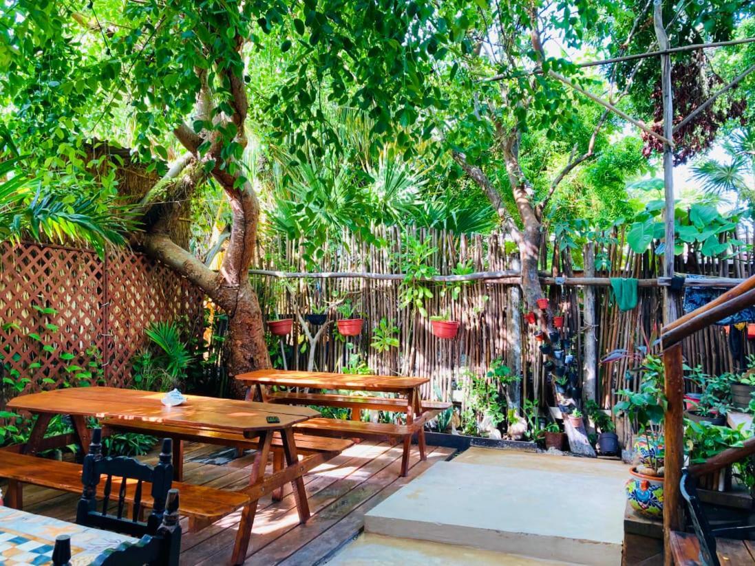 Hostal Holbox Isla Holbox Exterior photo